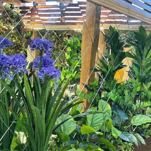 Beautiful artificial plants perfect for any space like an Agapanthus. Plants, foliage, trees available from Plant Couture. Shop online www.plantcouture.co.za