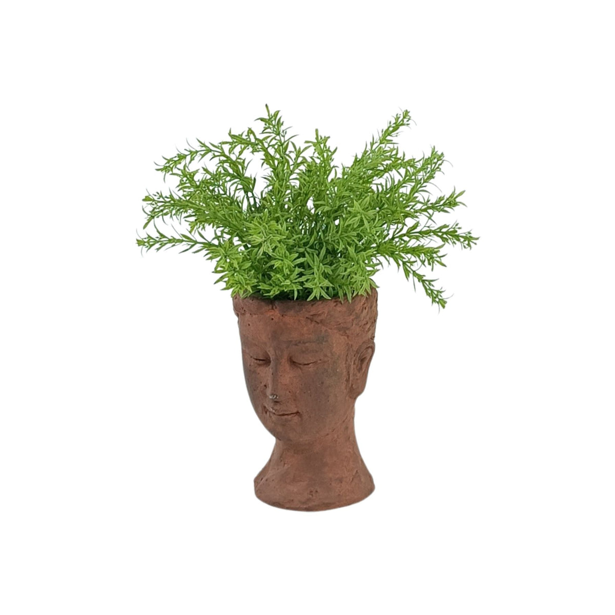 Filler Green Bush in Roman Head Vase