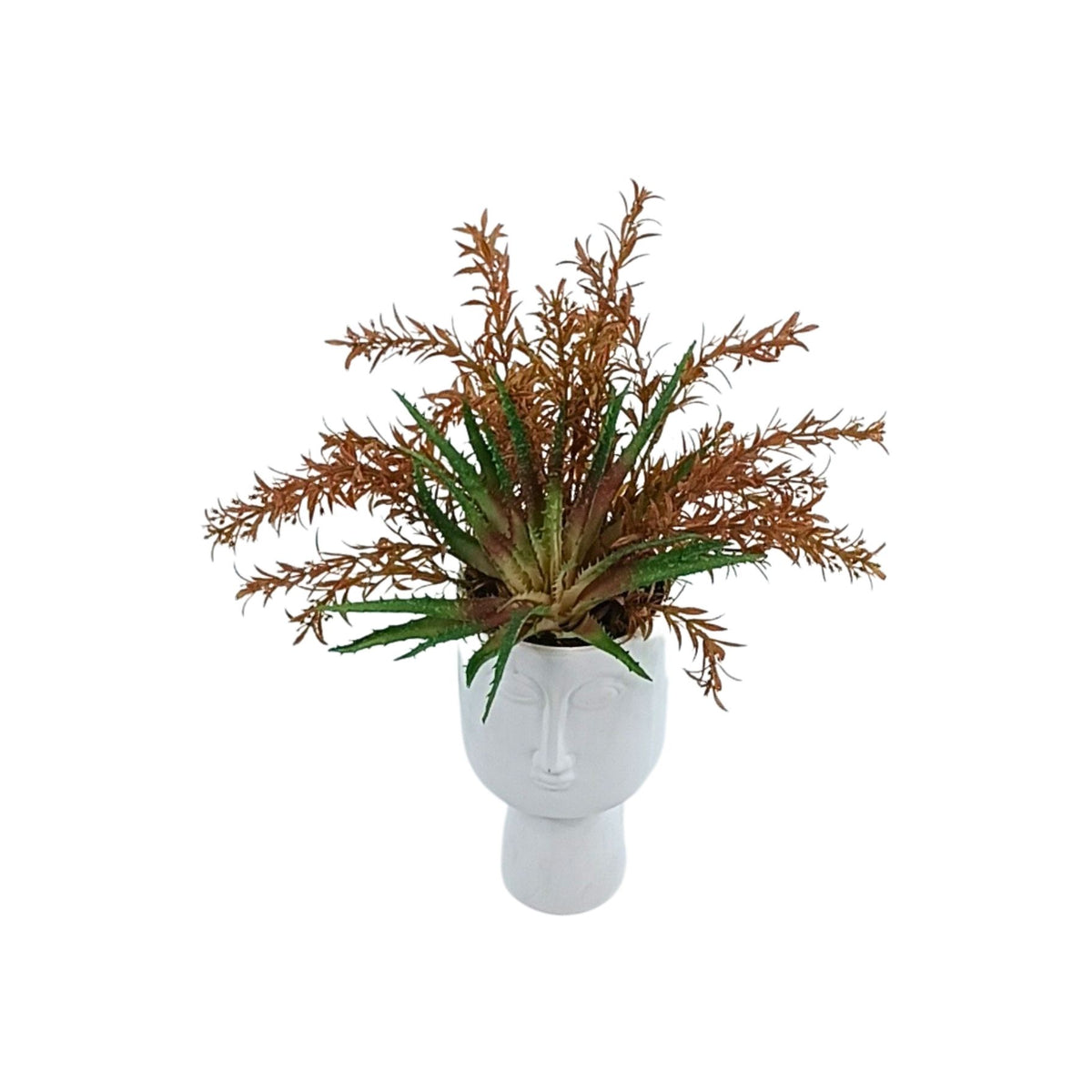 Filler Bush and Succulent in White Head Pot