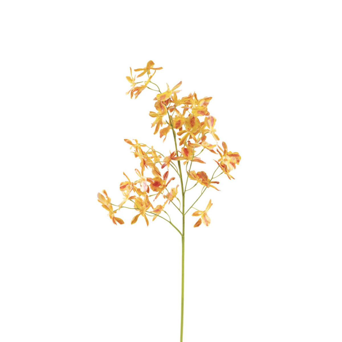 Oncidium Orchid Yellow Orange Stem - 90cm