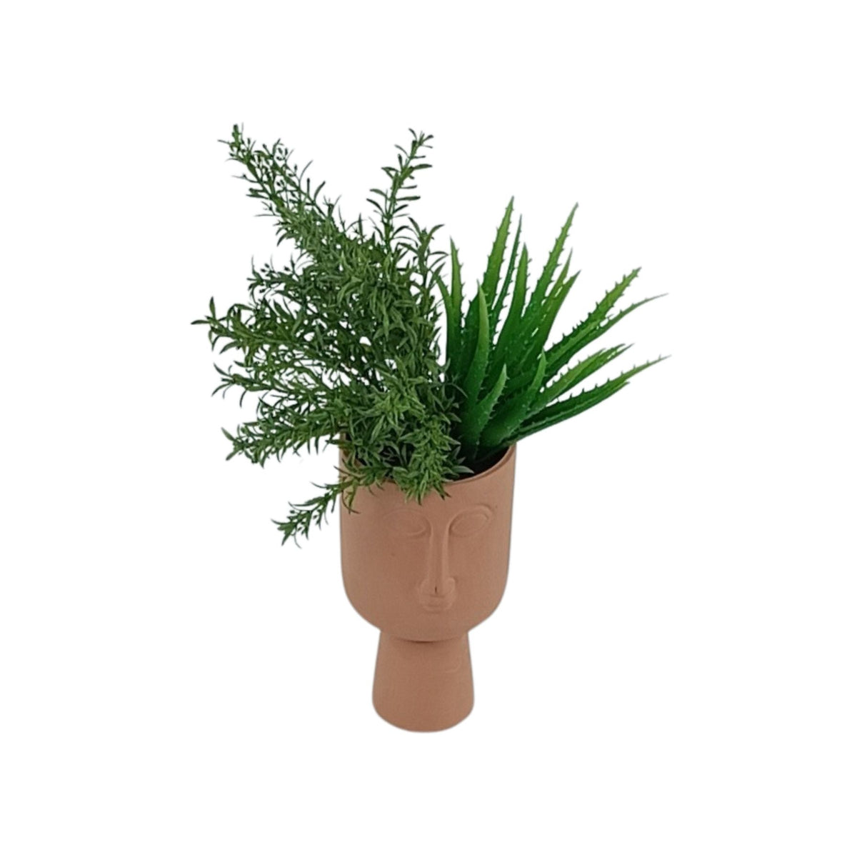 Filler Bush & Succulent in Terracotta Face Pot