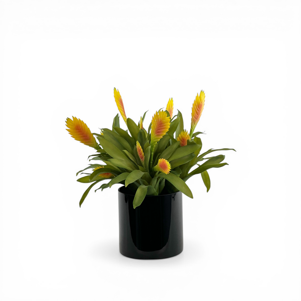 Bromeliad Yellow Arrangement in Black Glass Vase