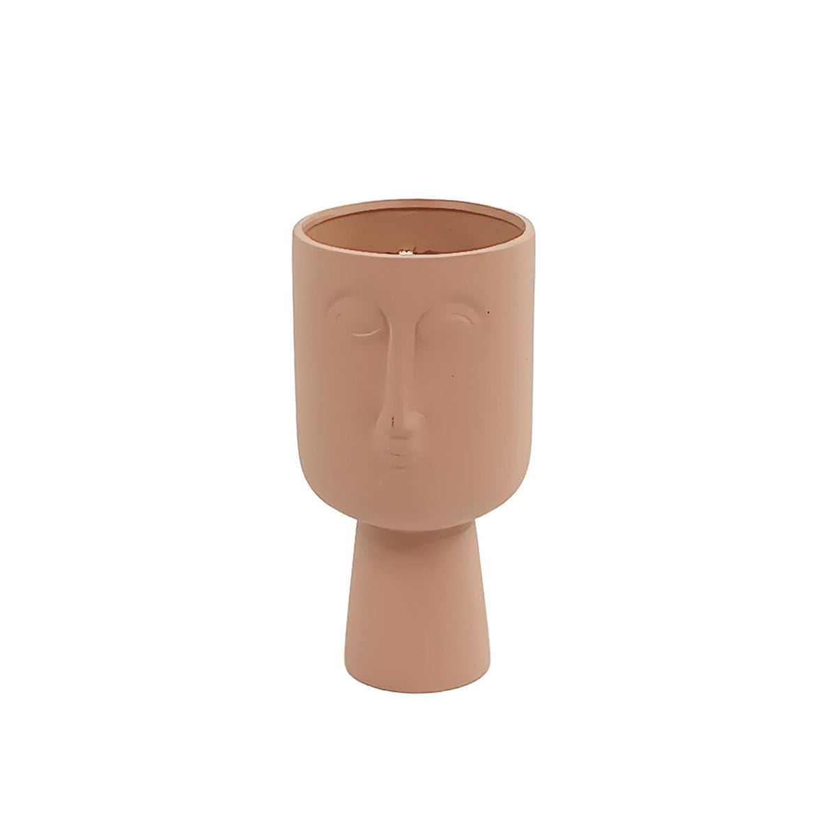 Filler Bush & Succulent in Terracotta Face Pot