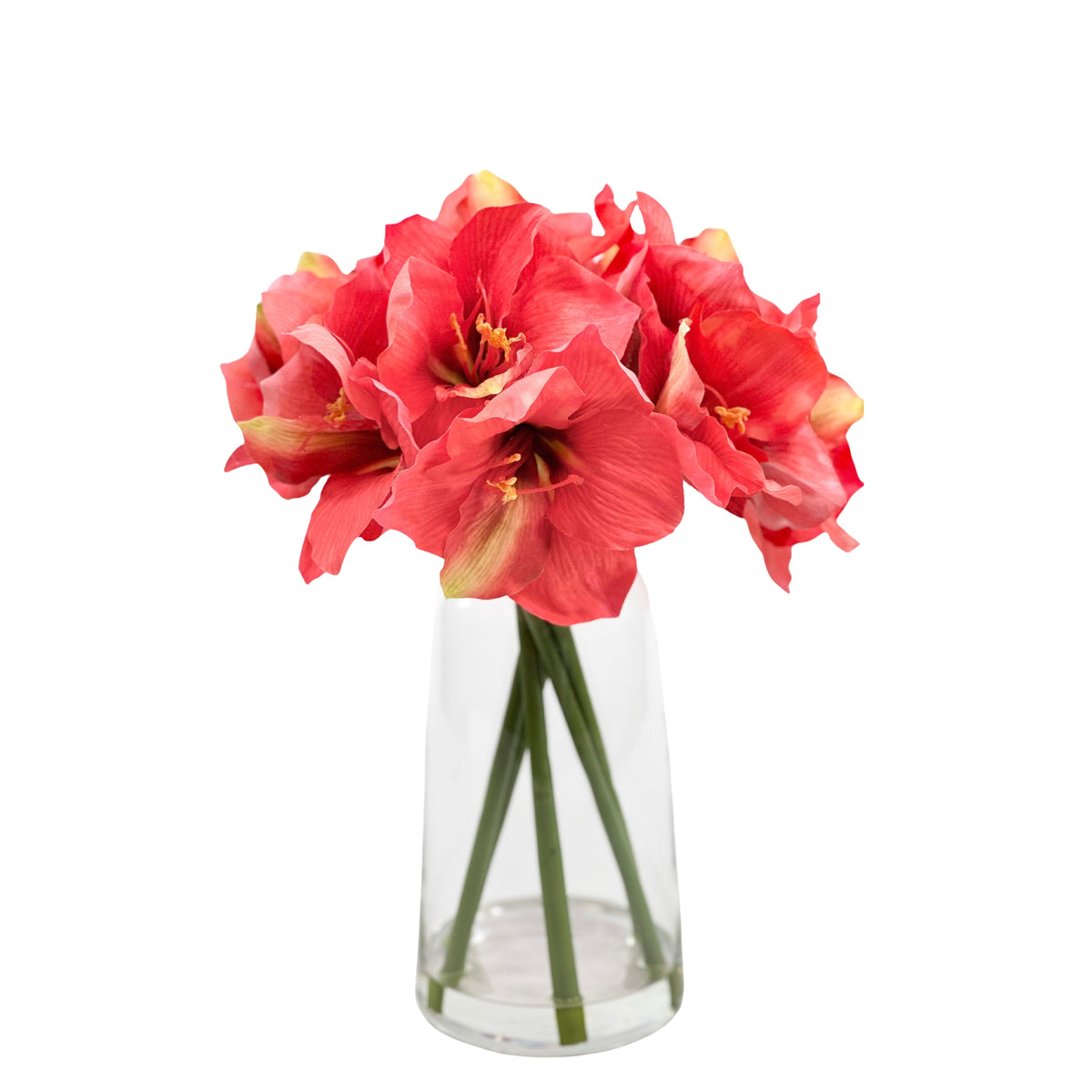 Amaryllis Coral Arrangement in Glass Vase