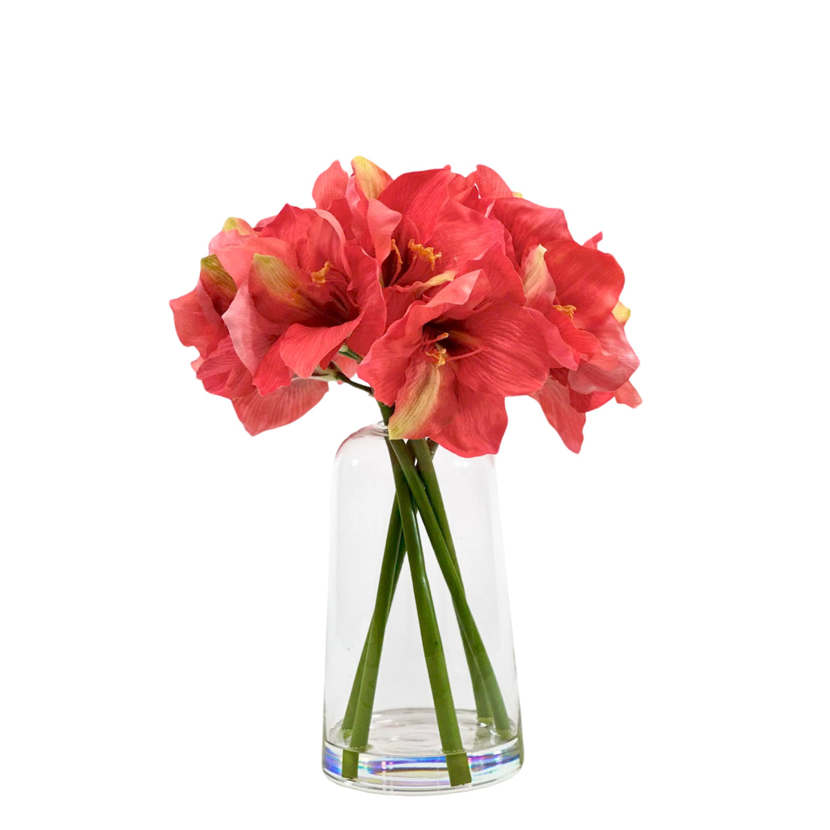 Amaryllis Coral Arrangement in Glass Vase