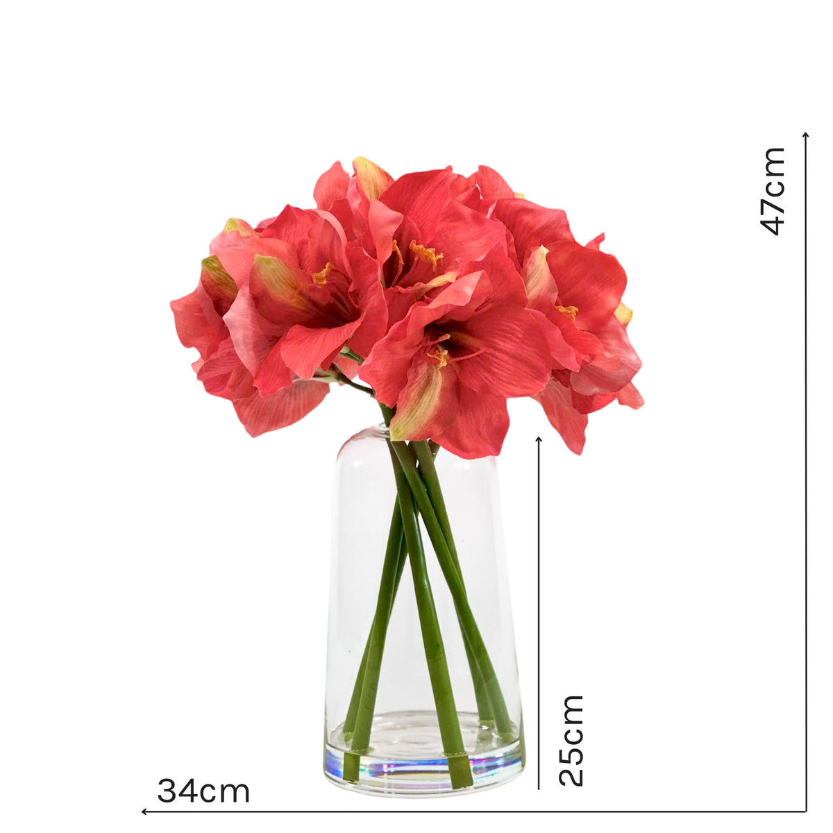 Amaryllis Coral Arrangement in Glass Vase