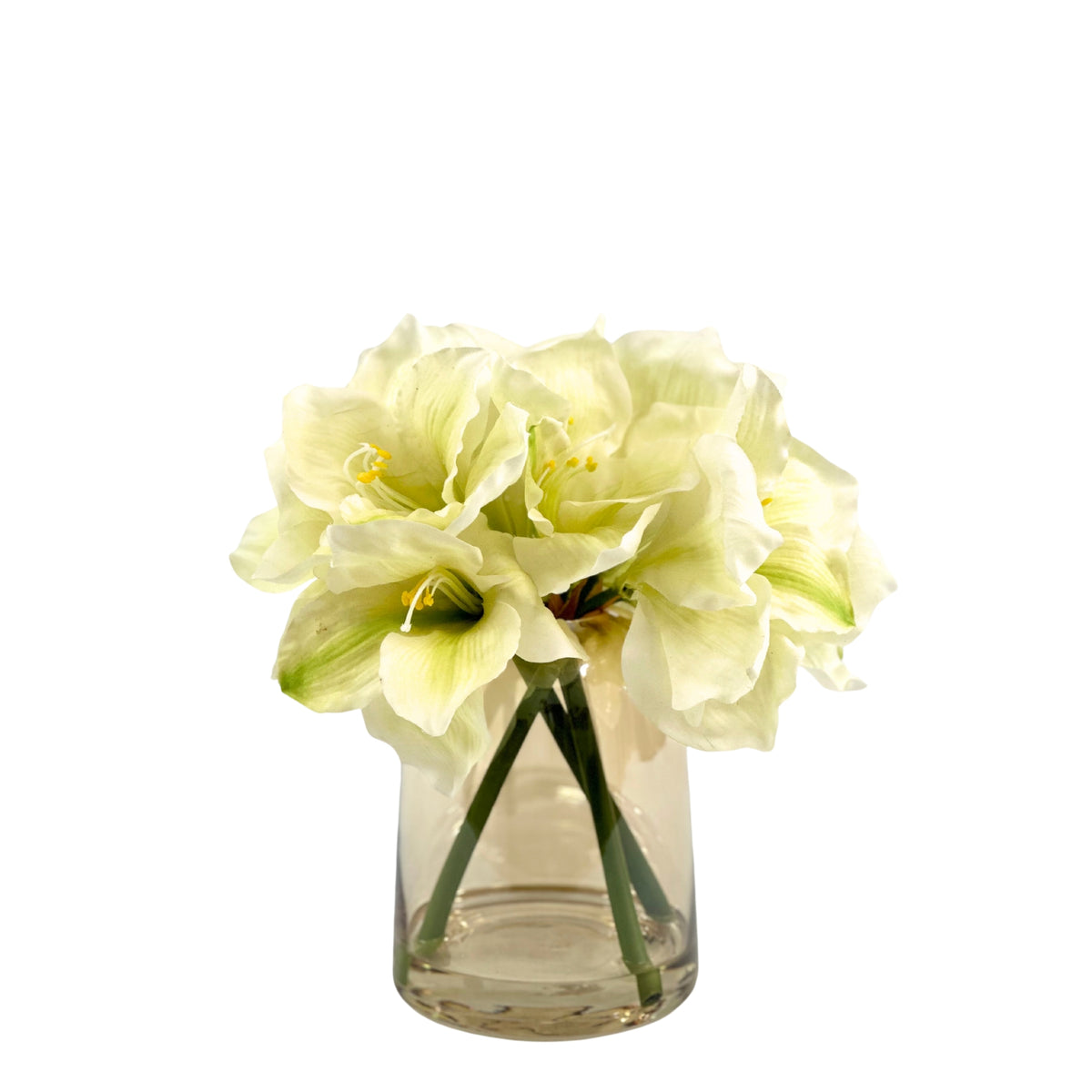 Amaryllis White Arrangement in Small Glass Vase