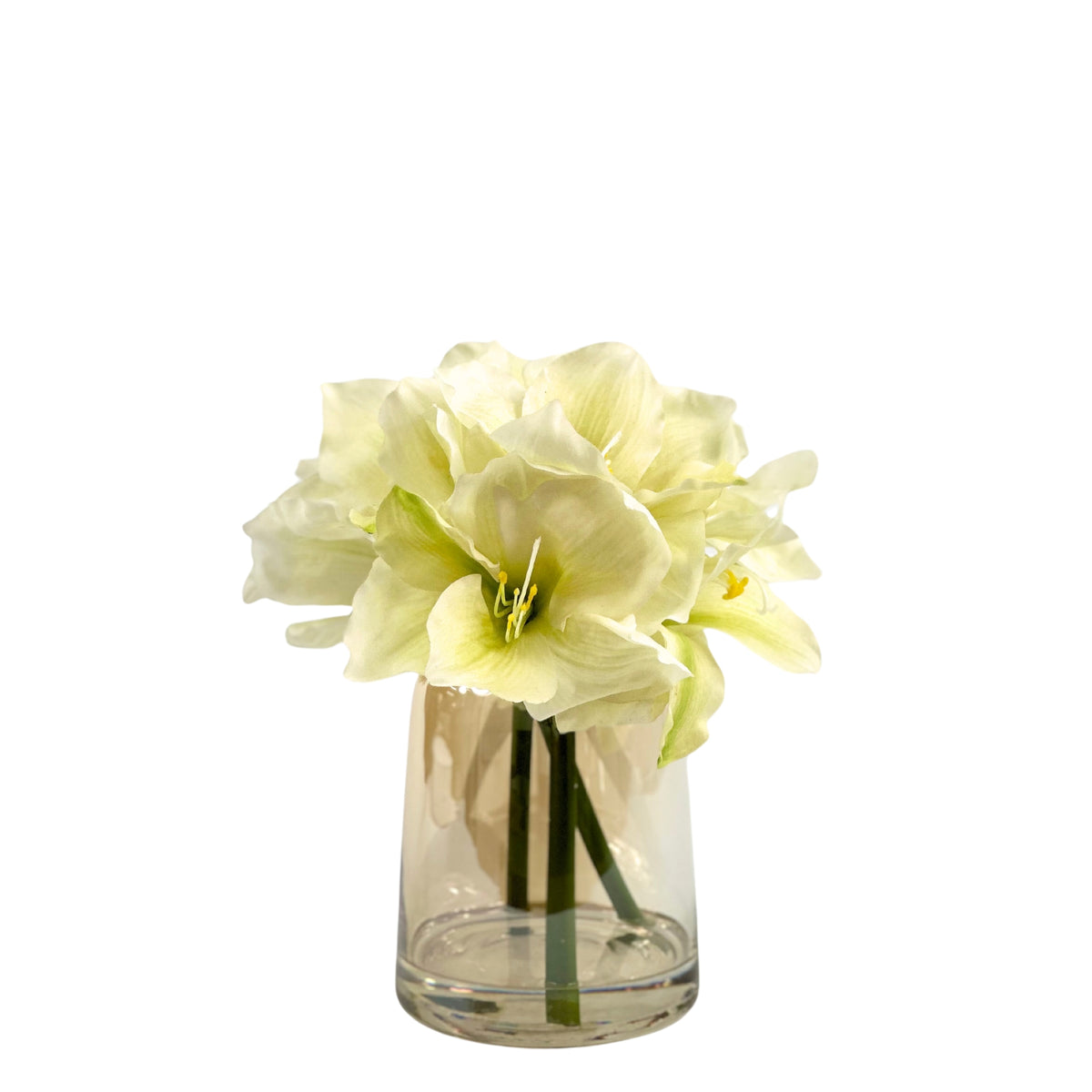 Amaryllis White Arrangement in Small Glass Vase