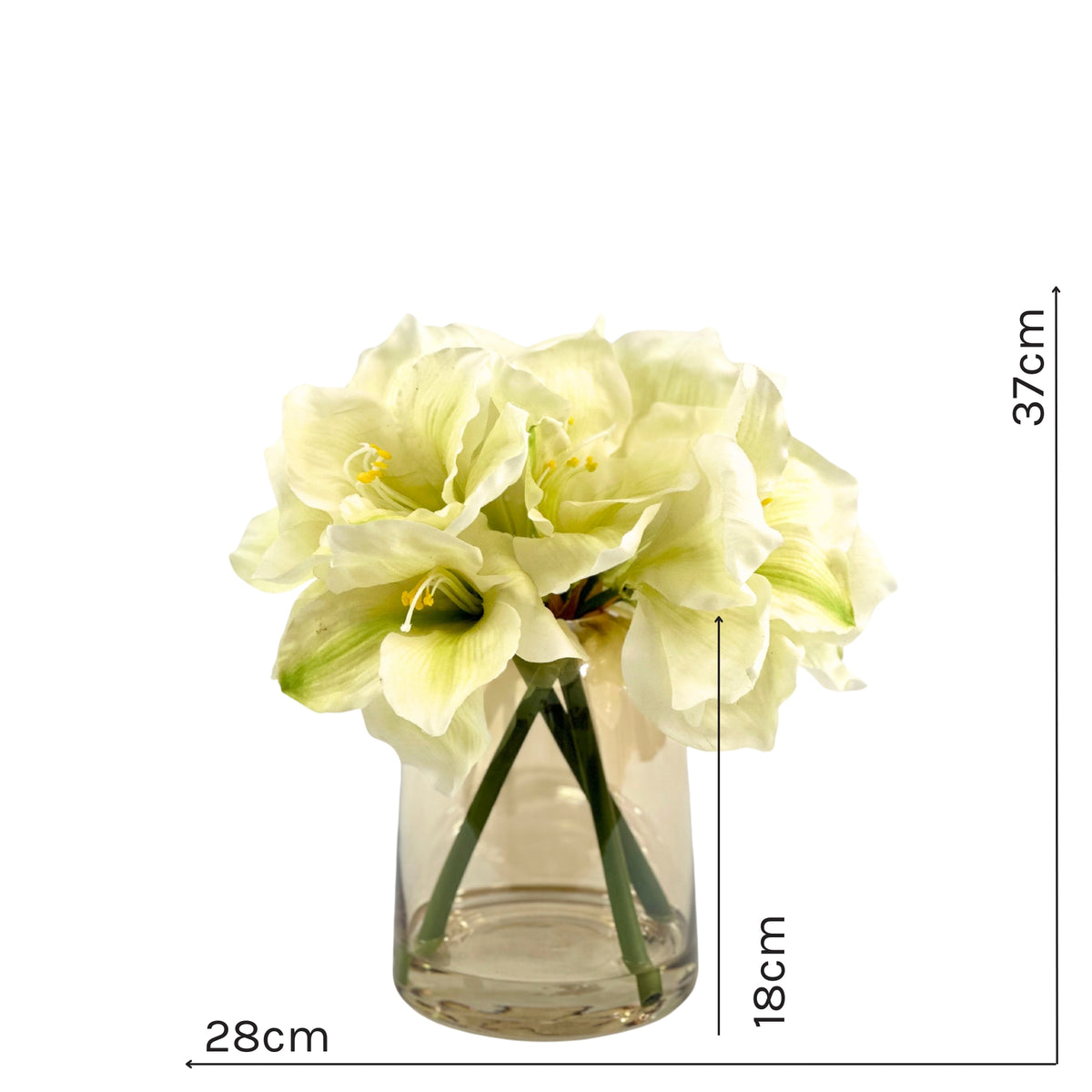 Amaryllis White Arrangement in Small Glass Vase