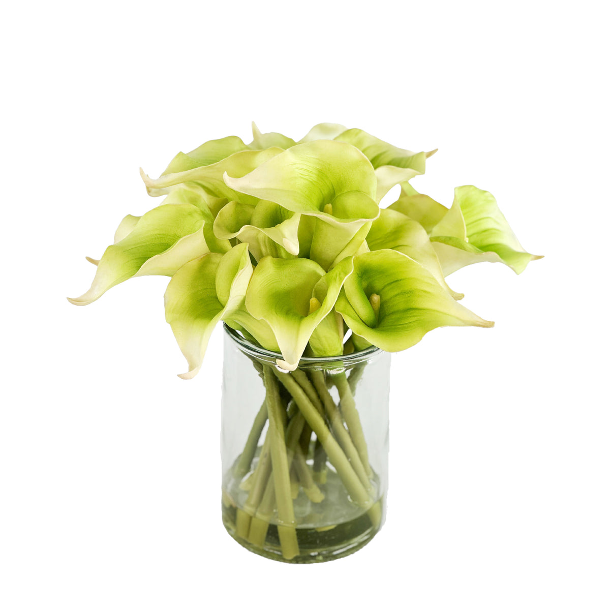 Clear glass vase with faux green Calla lilies set in faux water on a white background
