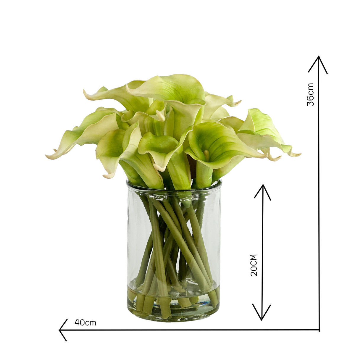 Clear glass vase with faux green Calla lilies set in faux water on a white background with measurements