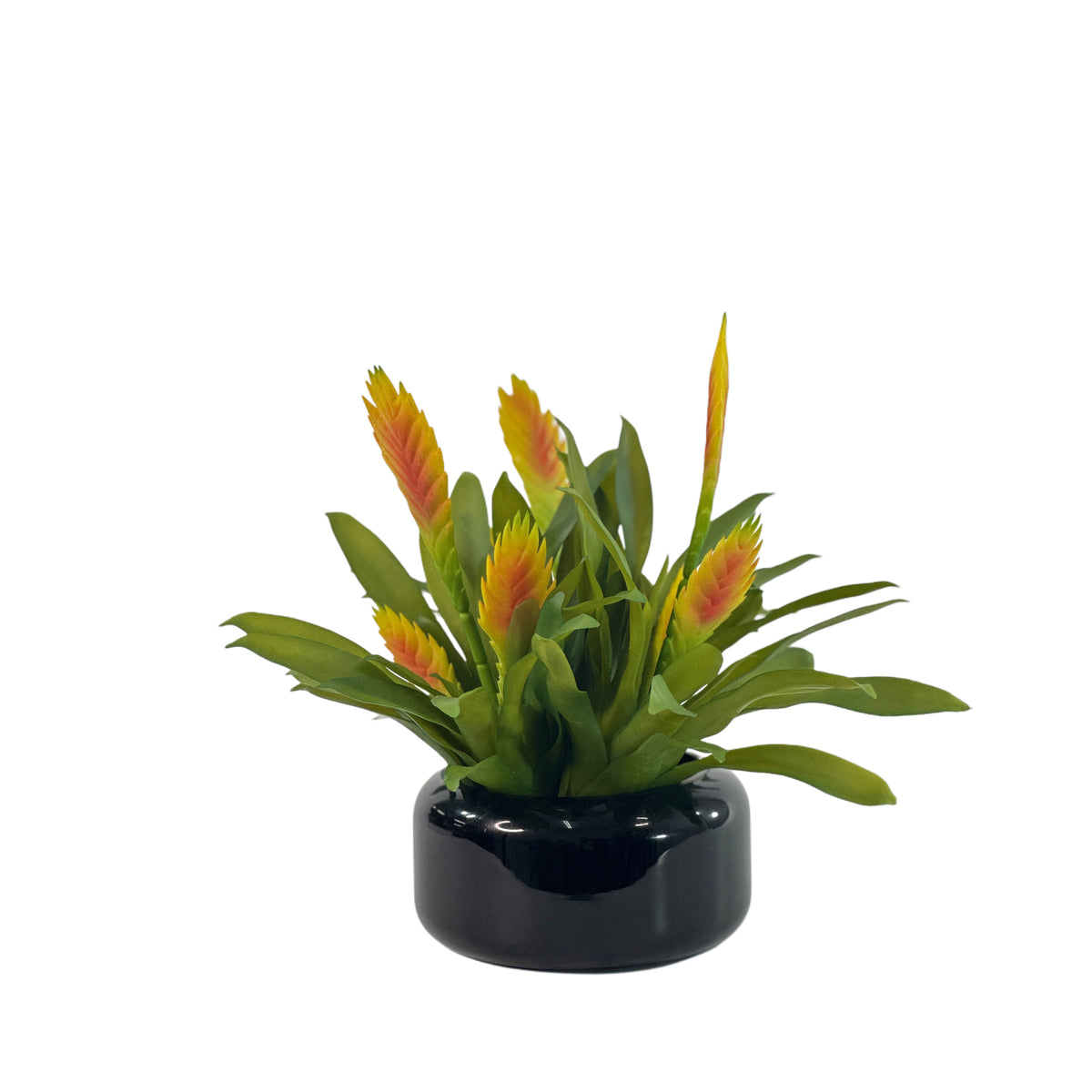 Bromeliad Arrangement Yellow