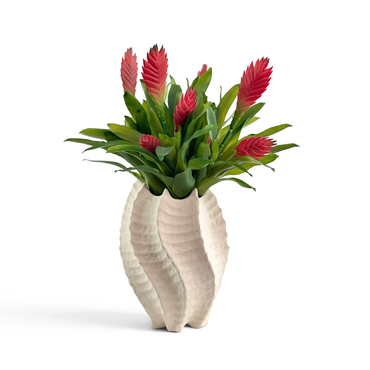 Artificial Bromeliad Red in a cream shell ceramic pot