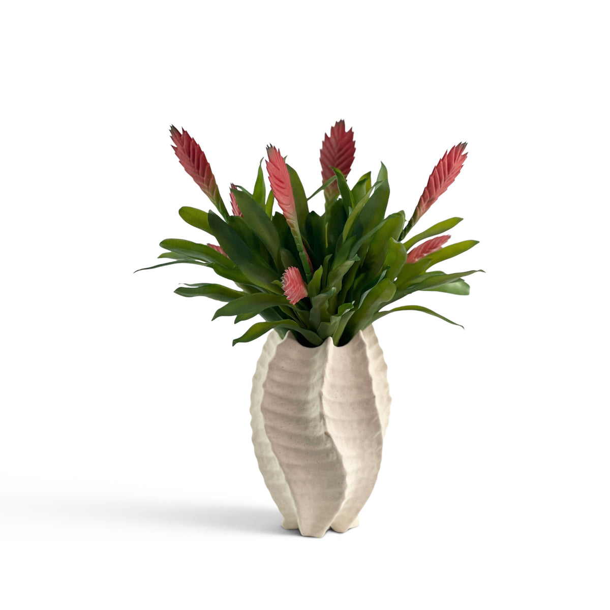 Faux Bromeliad Red plants in a cream shell ceramic planter