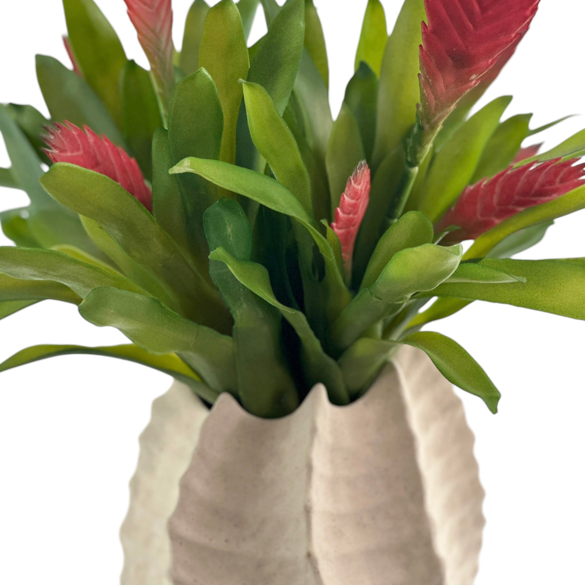 Artificial Bromeliad Red in a cream shell ceramic pot