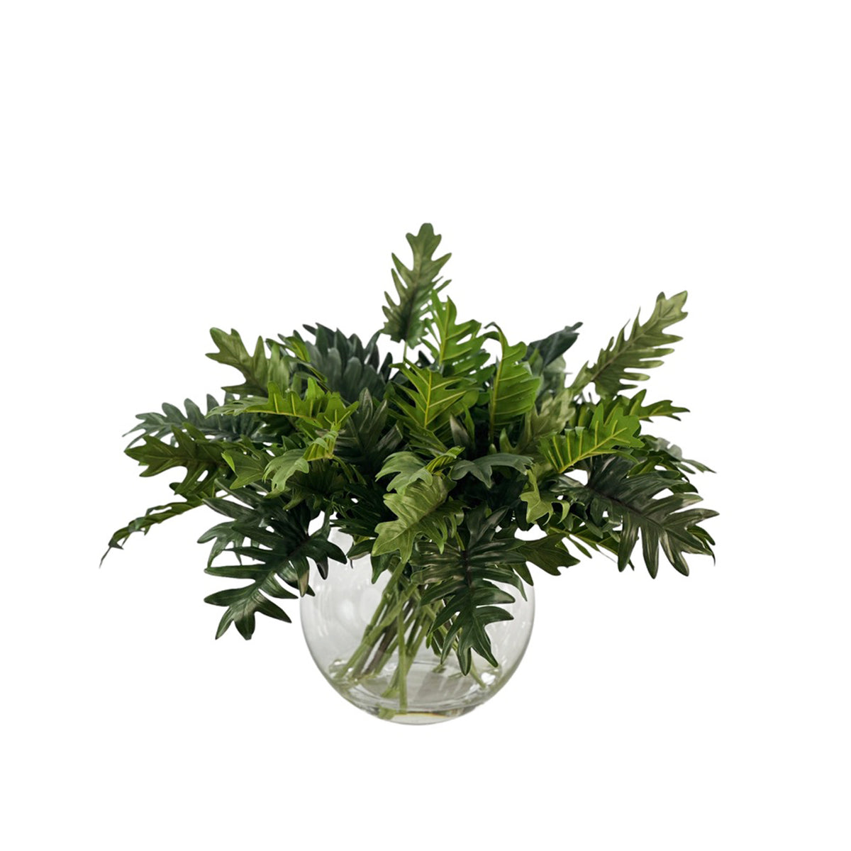 Green Philodendron Foliage in Glass Ball Vase