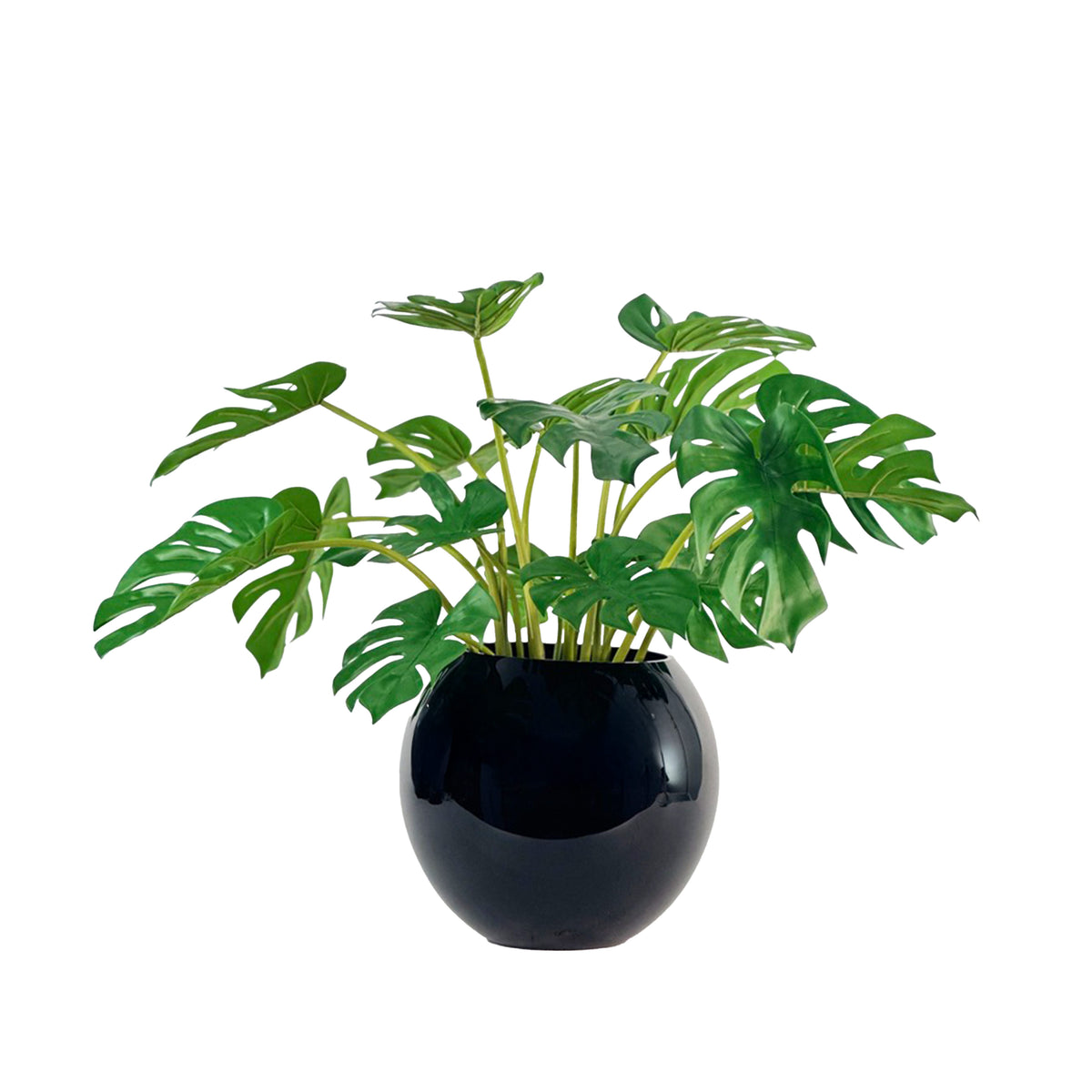 Faux Monstera Plants in Black Glass Bowl