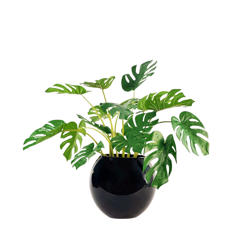 Fake Monstera Plants in Black Glass Bowl
