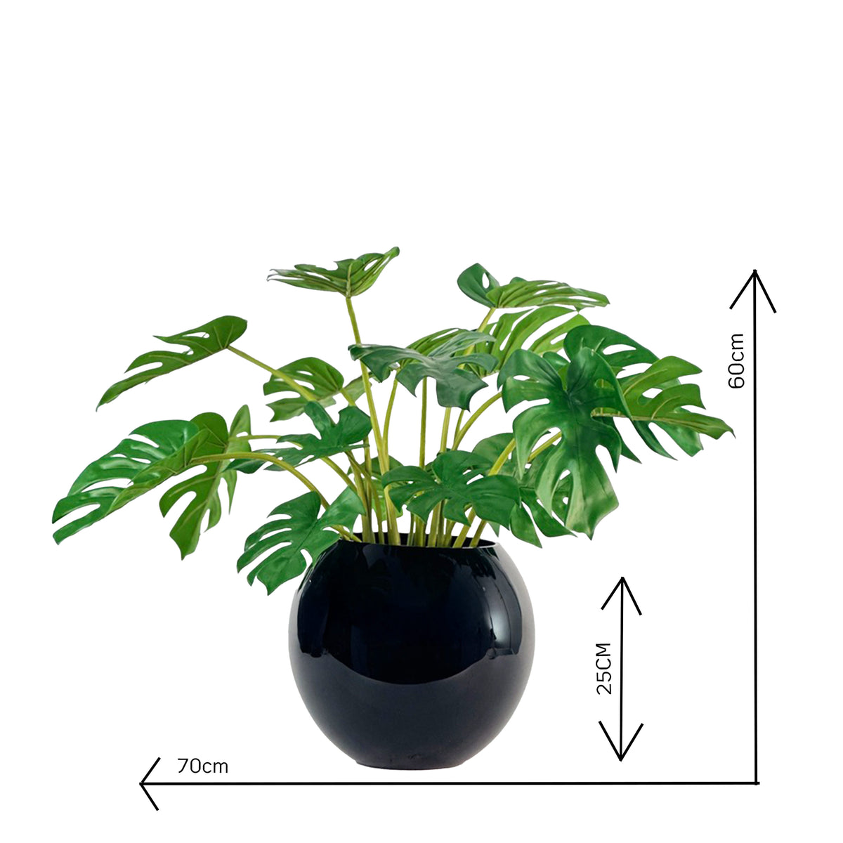 Faux Monstera Plants in Black Glass Bowl with measurements