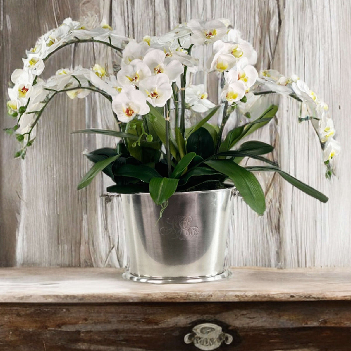 White orchids in a silver pot on a wooden surface with a wooden background