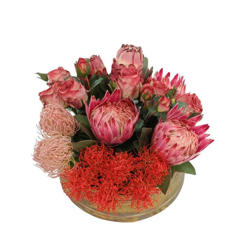 Proteas Roses Pincushion Mix Arrangement in Gold Tin. Front top view. Available from Plant Couture.