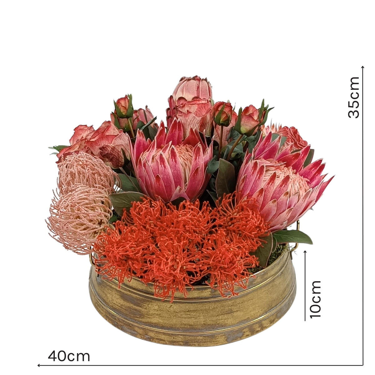 Proteas Roses Pincushion Mix Arrangement in Gold Tin. Front view. with measurements Available from Plant Couture.
