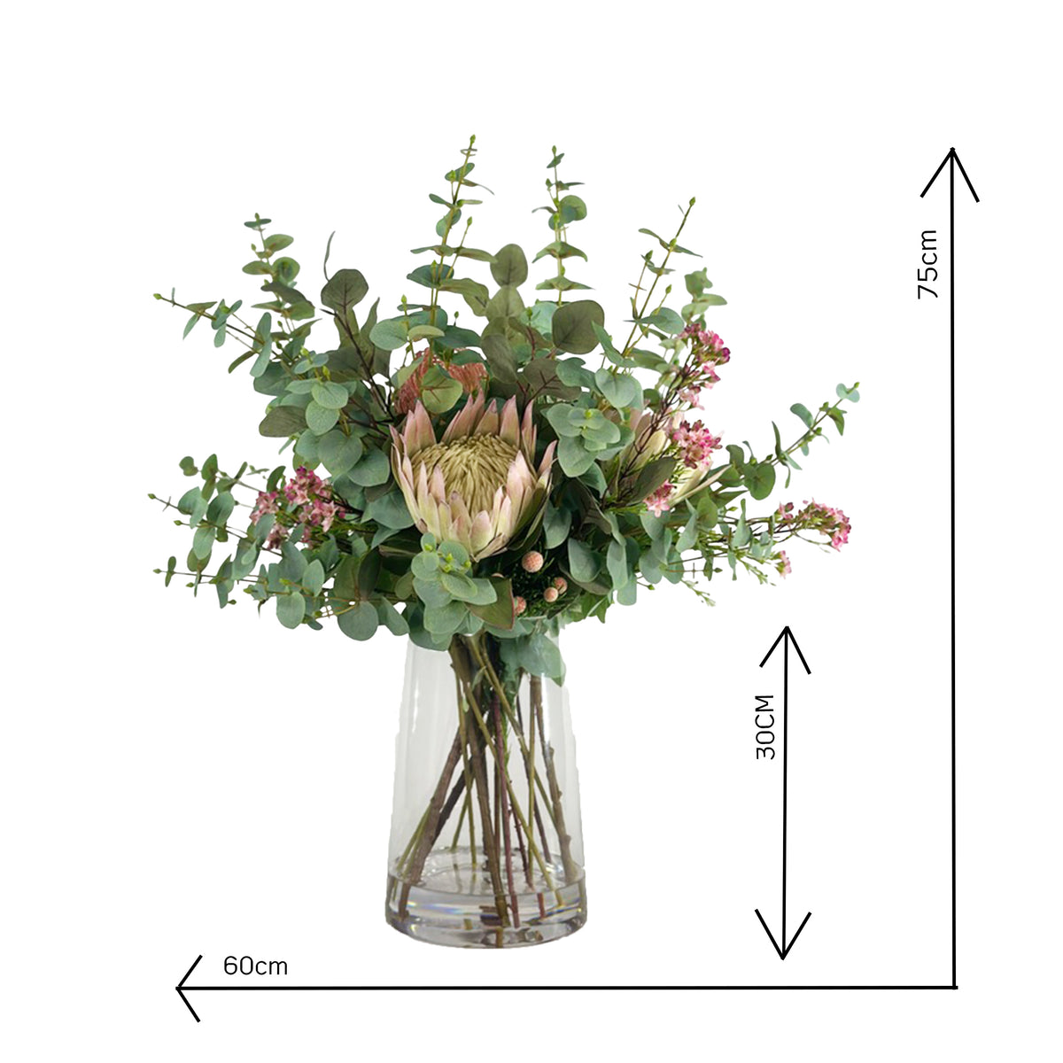 Bouquet of faux Protea pincusion and Eucaluptus with a clear vase with faux water on a white background with measurements