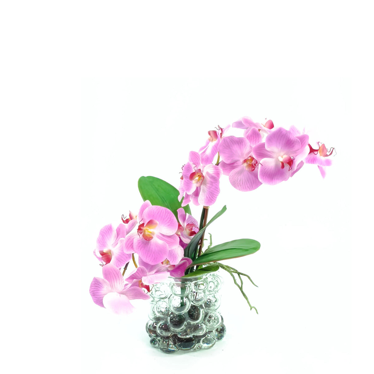 Orchid Purple Arrangement in Small Bubble Glass Vase