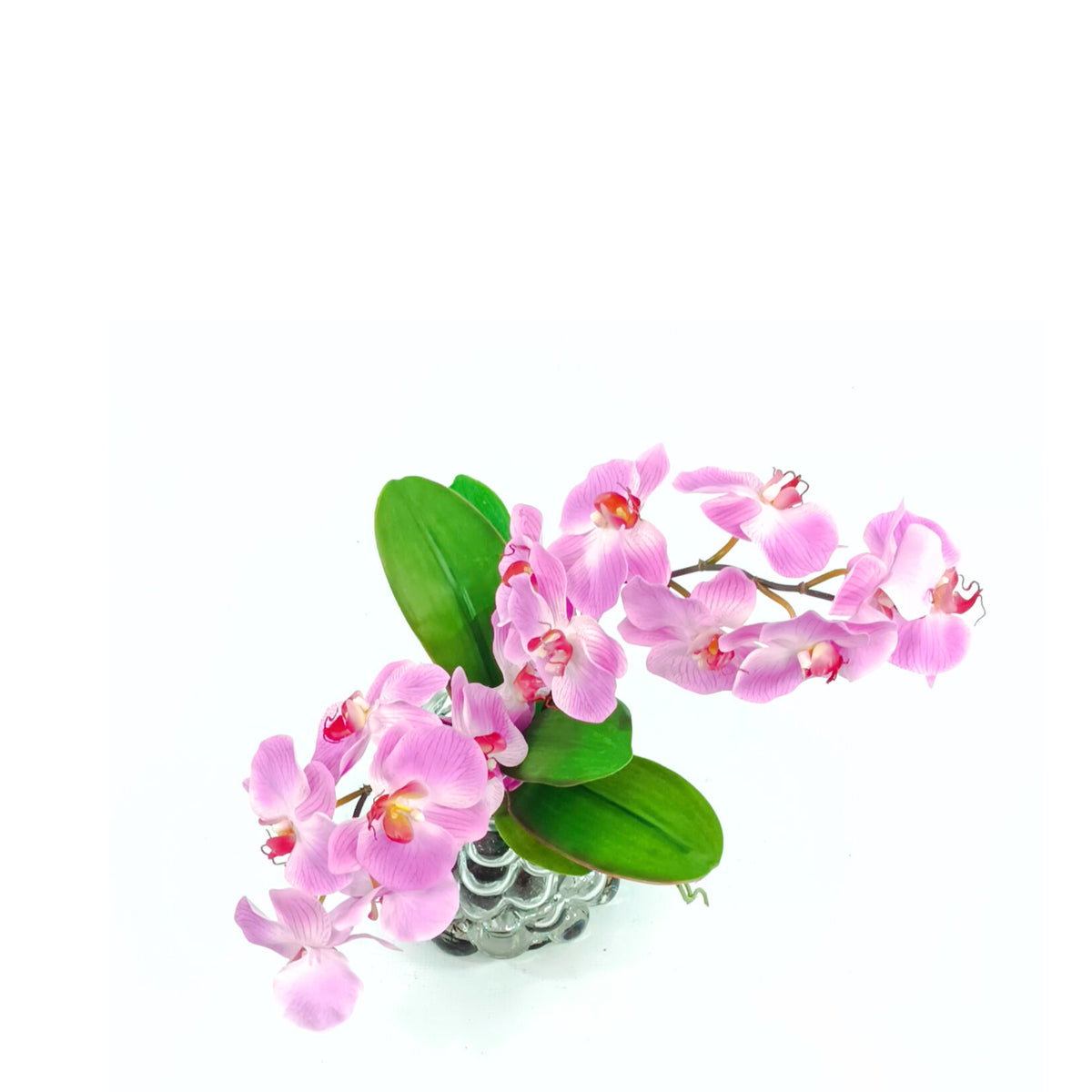 Orchid Purple Arrangement in Small Bubble Glass Vase