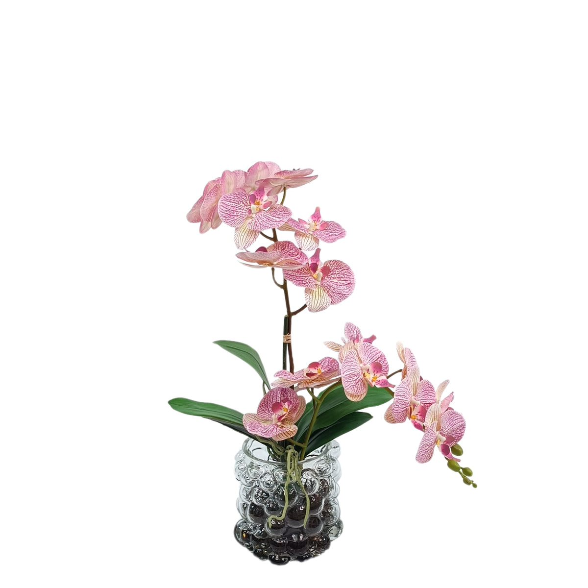 Orchid Pink Arrangement in Small Bubble Glass Vase