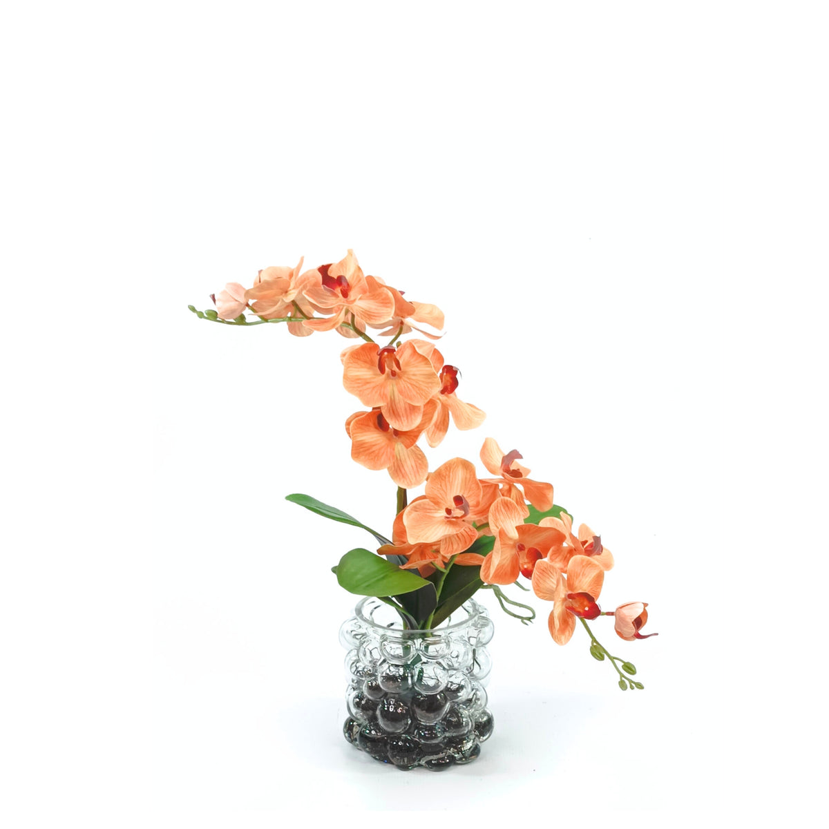 Orchid Orange 95cm Arrangement In Small Bubble Vase