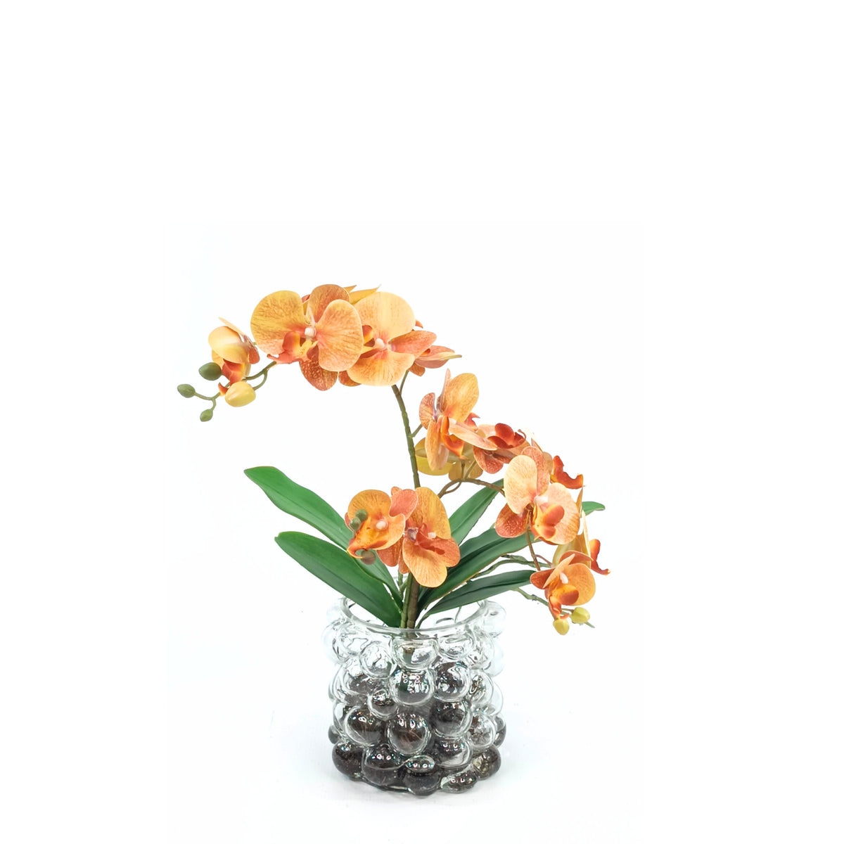 Orchid Orange 72cm Arrangement in Small Bubble Glass Vase