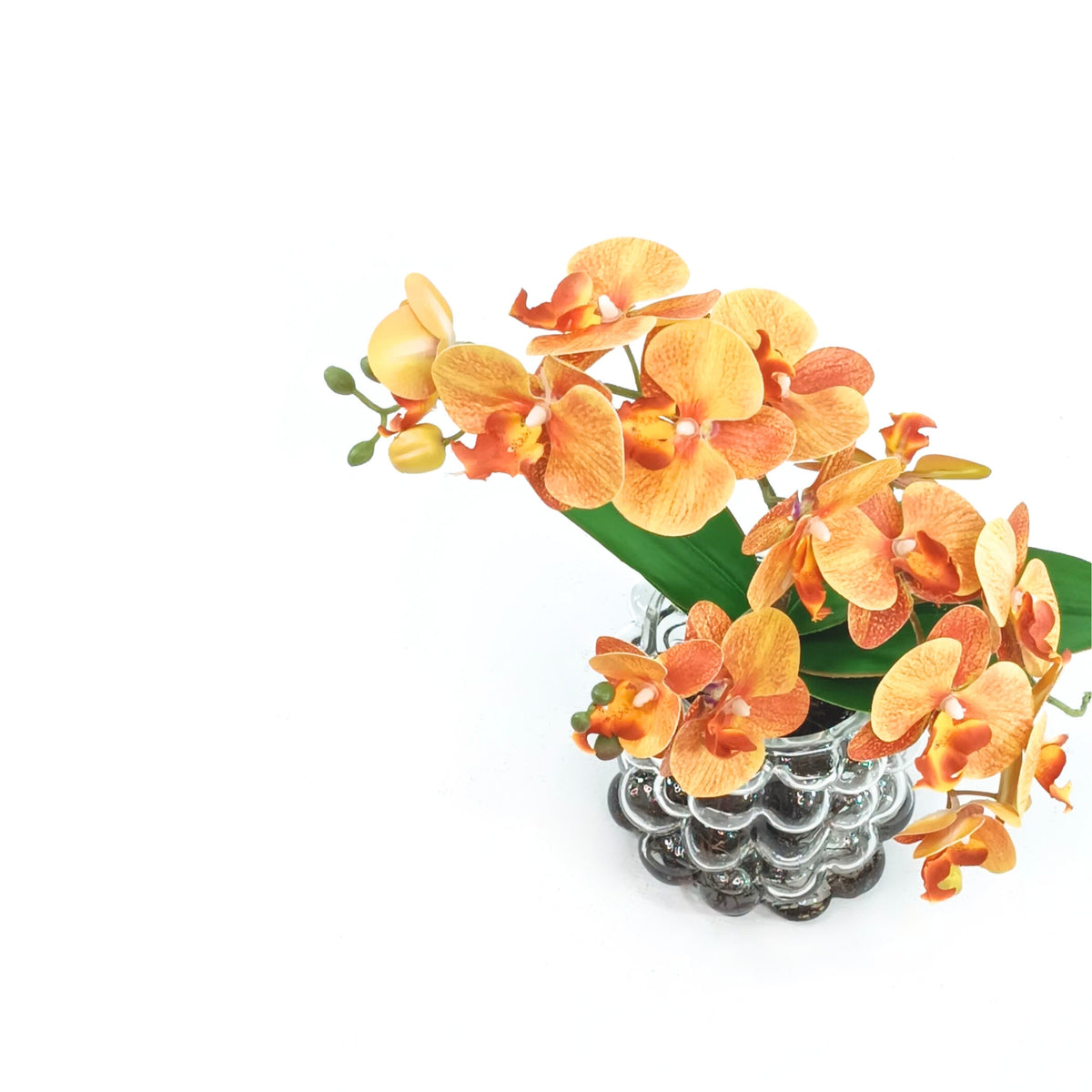 Orchid Orange 72cm Arrangement in Small Bubble Glass Vase