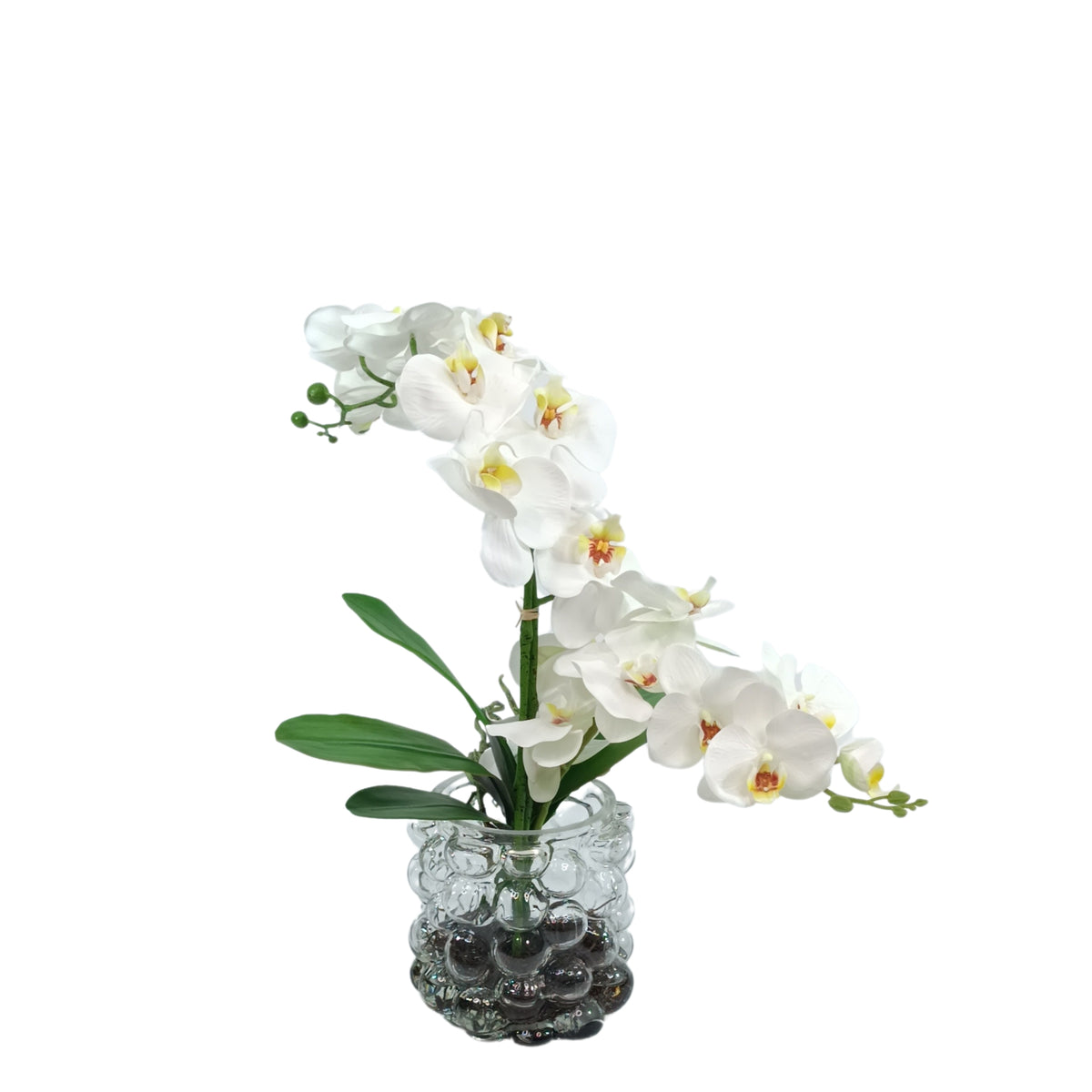 Orchid White Arrangement in Small Bubble Glass Vase