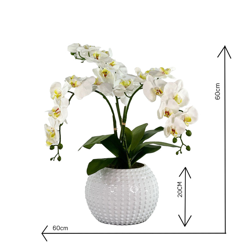 Artificial white orchid plant in a decorative pot with measurements on a white background