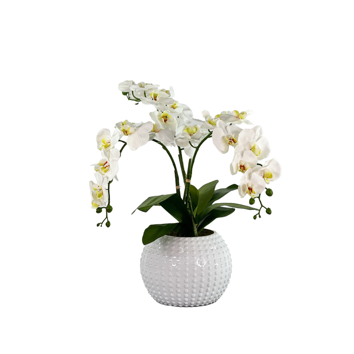 White faux orchid plant in a textured white vase on a white background