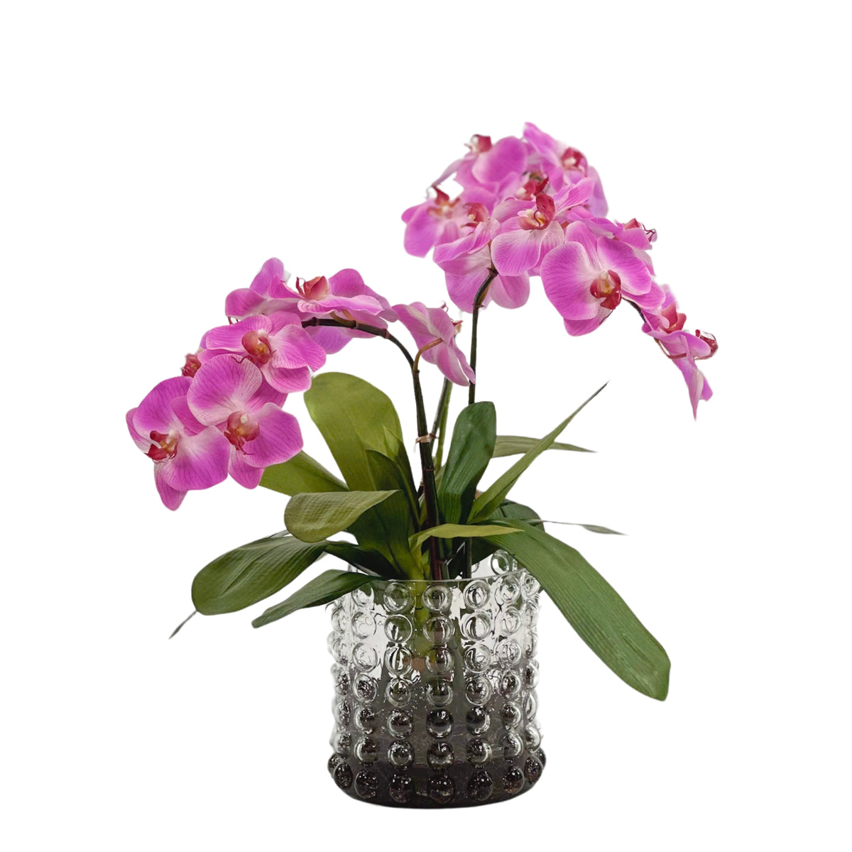 Purple Orchid Arrangement in Large Bubble Glass Vase