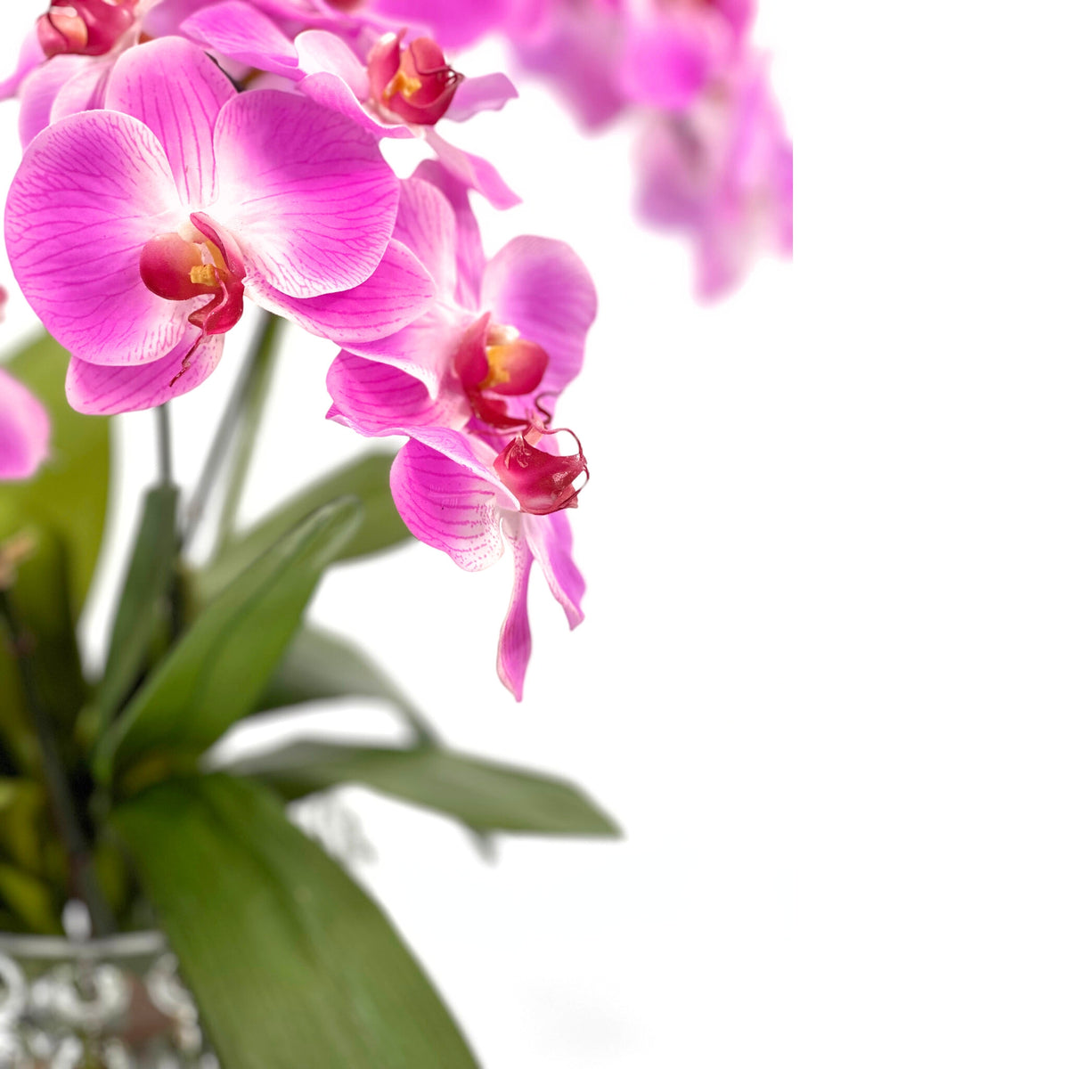 Purple Orchid Arrangement in Large Bubble Glass Vase