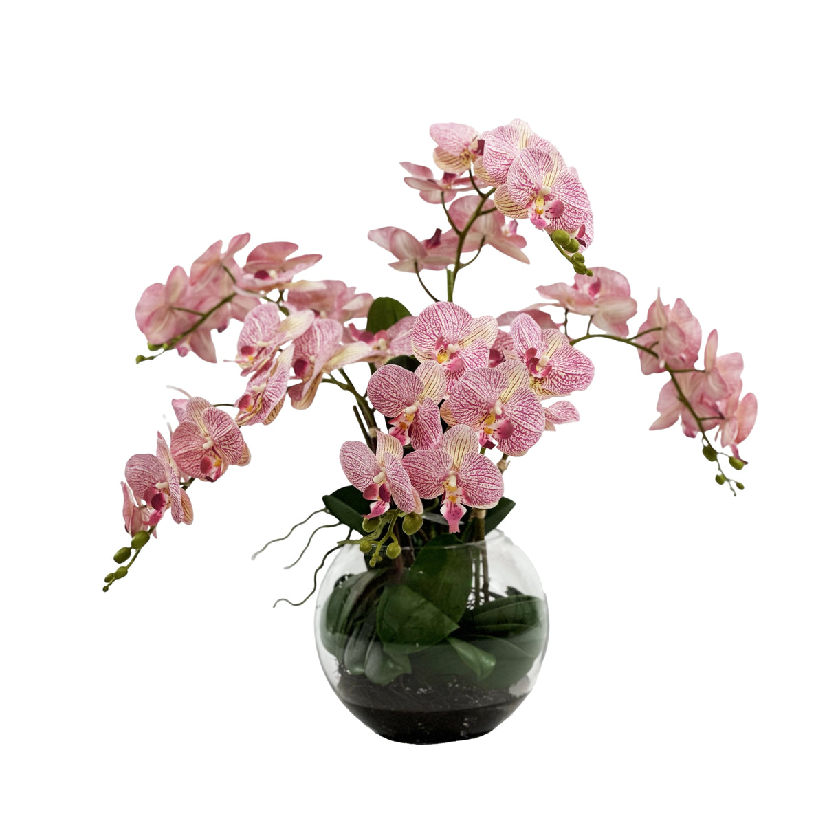 Pink Orchid Arrangement in Glass Rose Bowl Vase