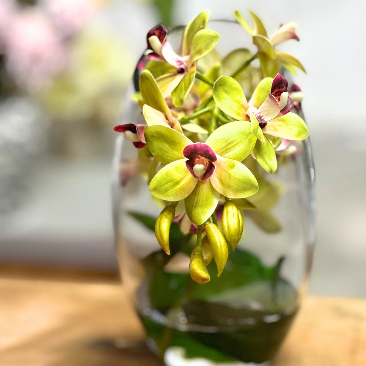 Cymbidium Orchid Green Arrangement In Slanted Glass Vase