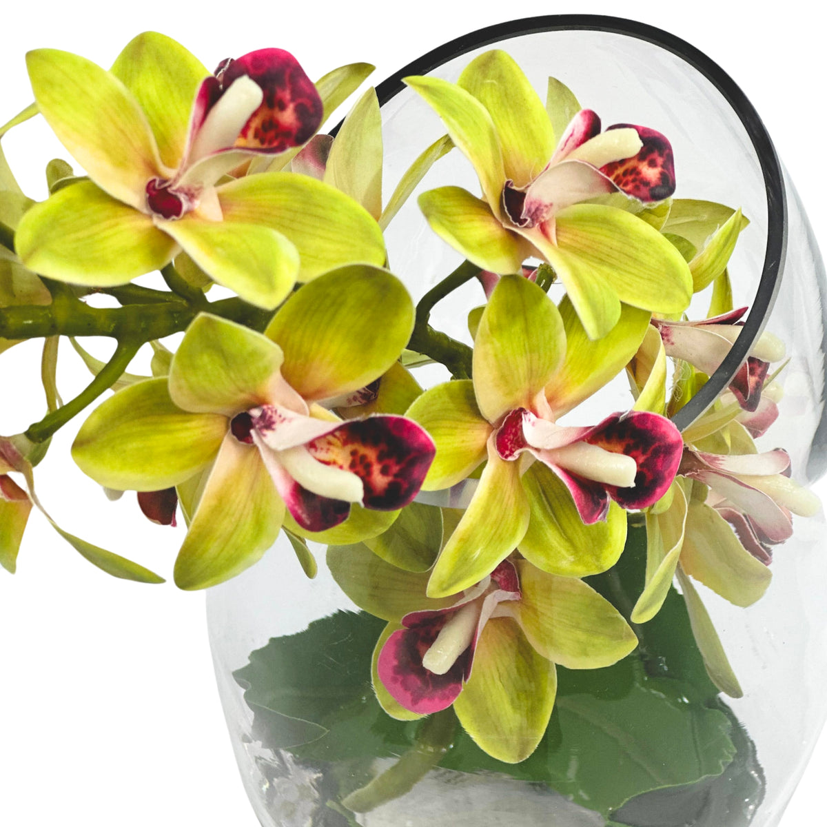 Cymbidium Orchid Green Arrangement In Slanted Glass Vase