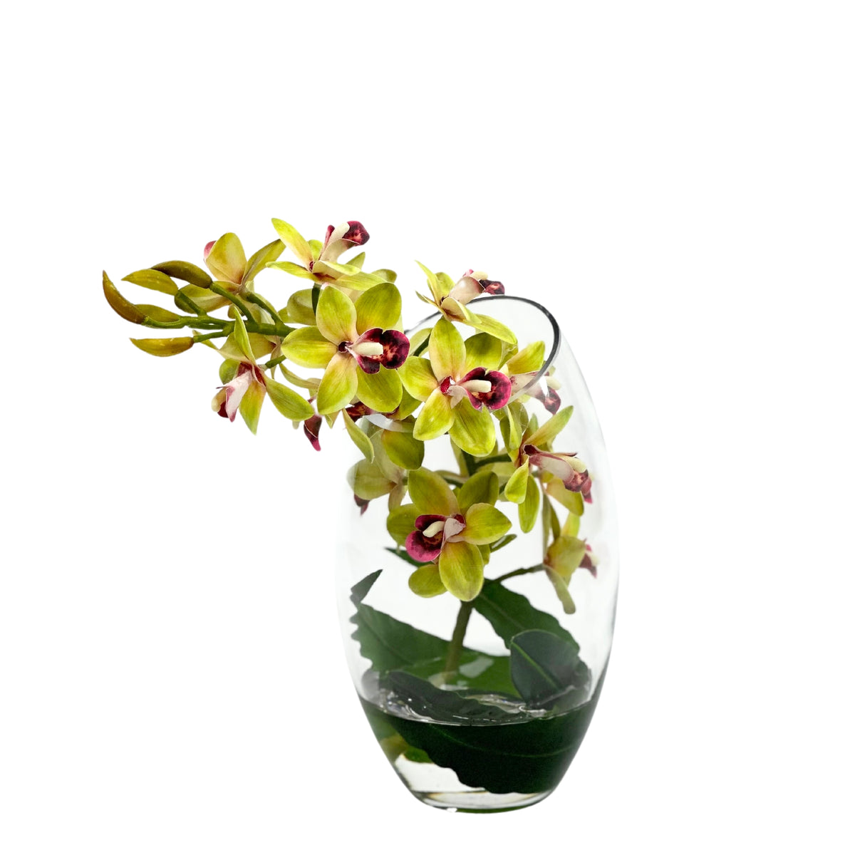 Cymbidium Orchid Green Arrangement In Slanted Glass Vase