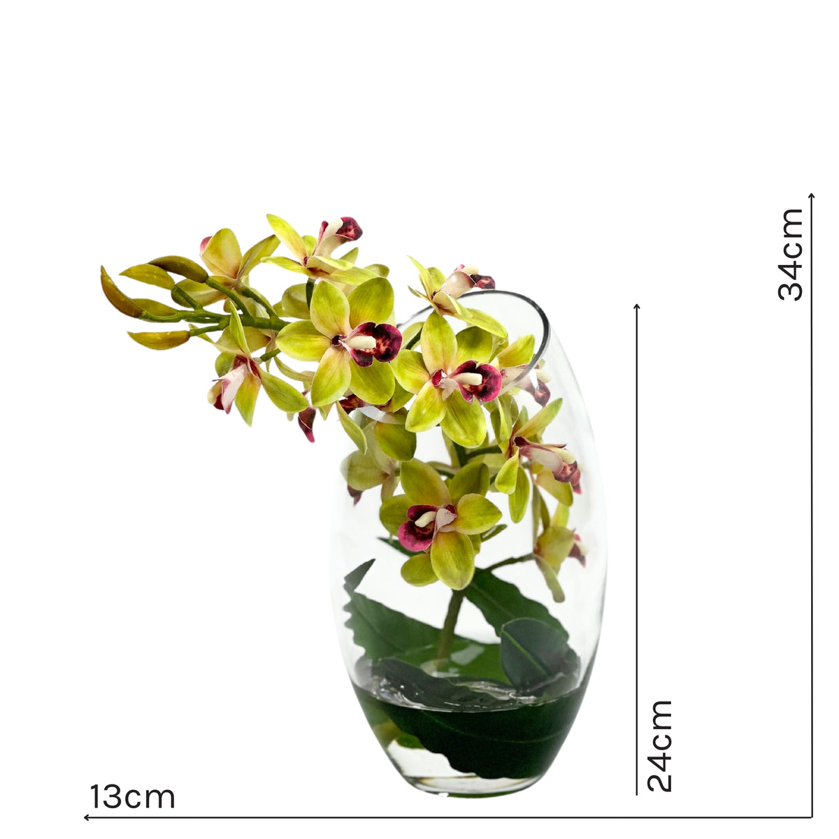 Cymbidium Orchid Green Arrangement In Slanted Glass Vase
