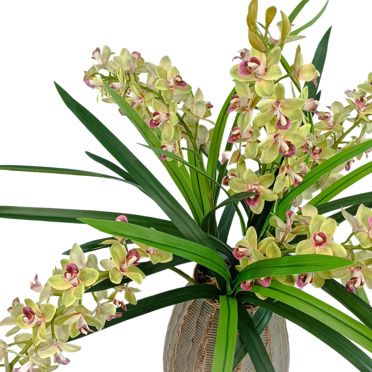 Cymbidium Orchid Green Arrangement in Gold Bullet Tin Vase