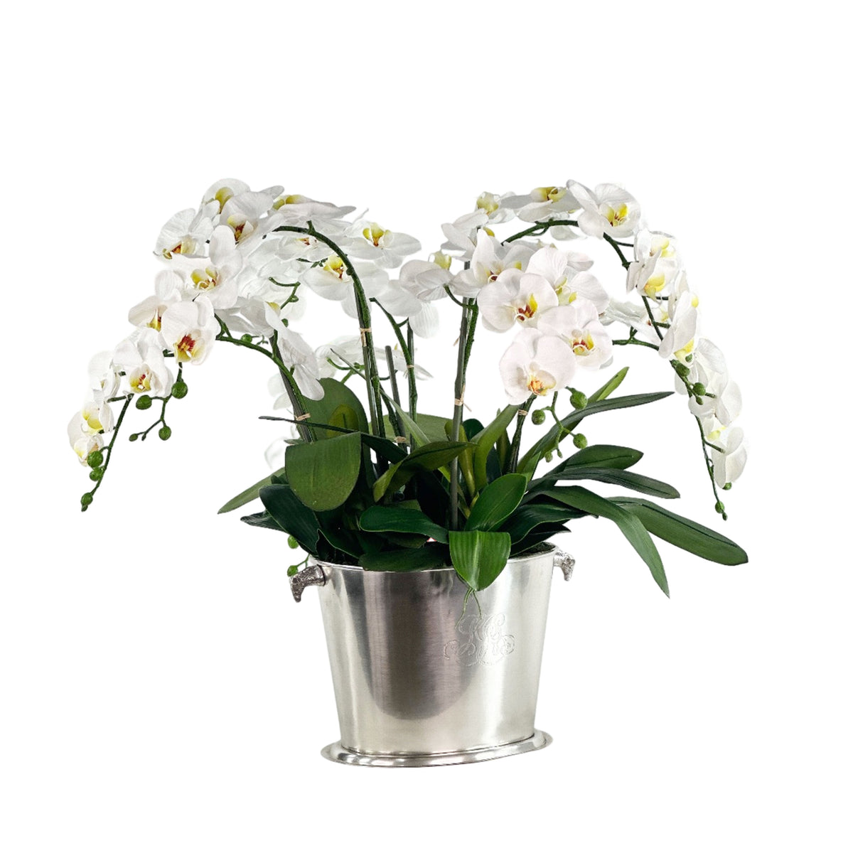 Orchid Phalaenopsis White in Decorative Silver Planter