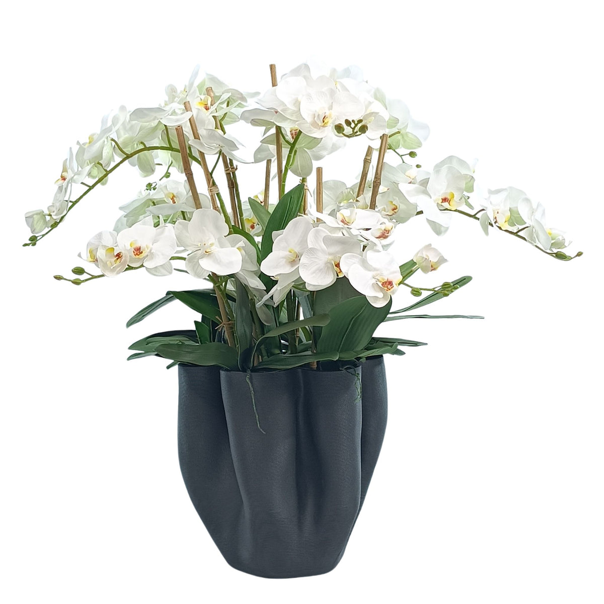 Phalaenopsis Orchids White in Large Black Wavy Ceramic Vase. Full front view. Purchase silk flower arrangements from www.plantcouture.co.za