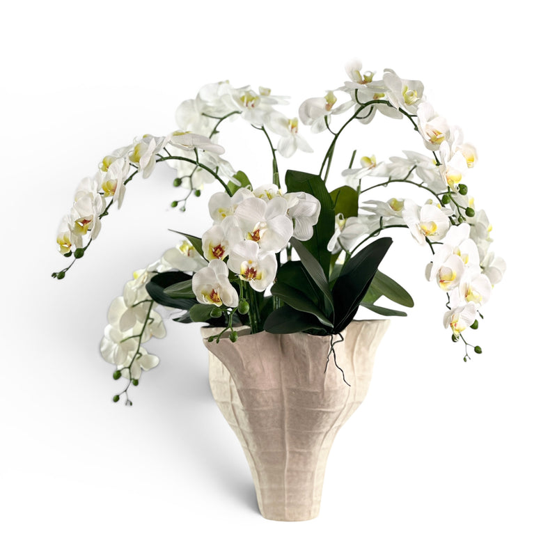 Artificial Phalaenopsis Orchid White in cream organic ceramic planter