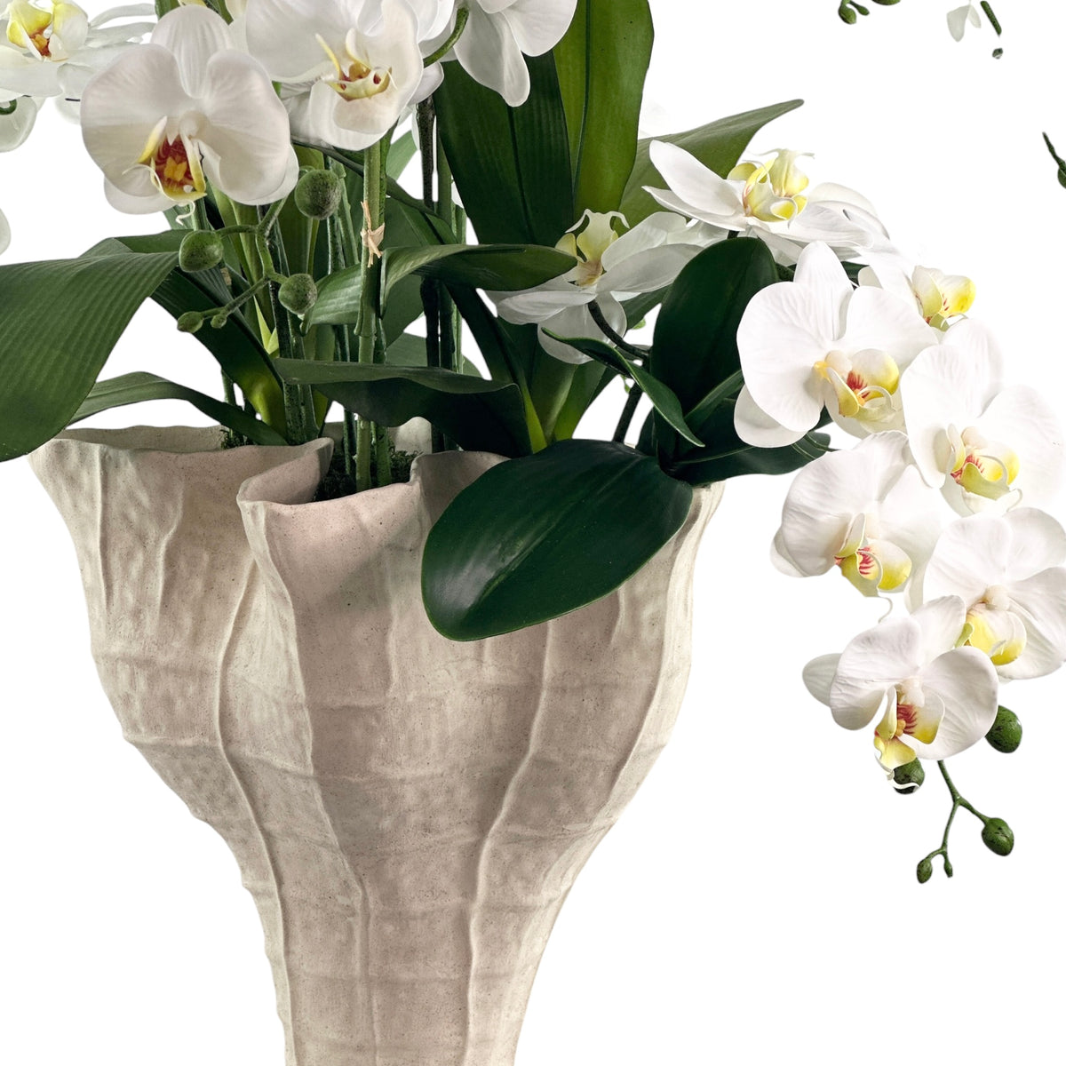Faux Phalaenopsis Orchid White in cream organic ceramic pot
