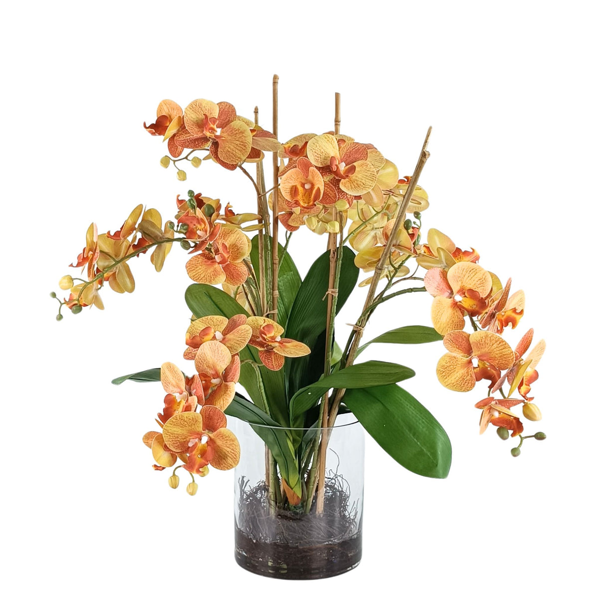 Phalaenopsis Orchid Orange in Glass Cylinder Vase