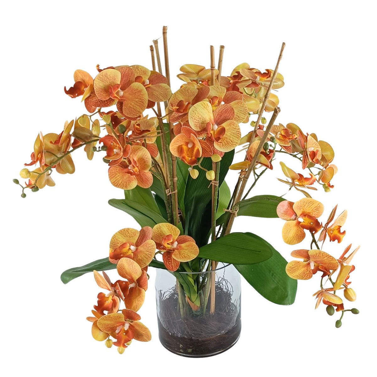 Phalaenopsis Orchid Orange in Glass Cylinder Vase